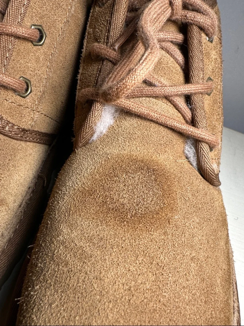 UGG suede chukka